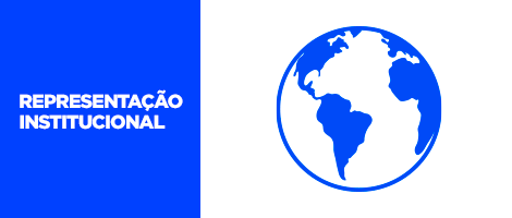 10 Representacao Institucional